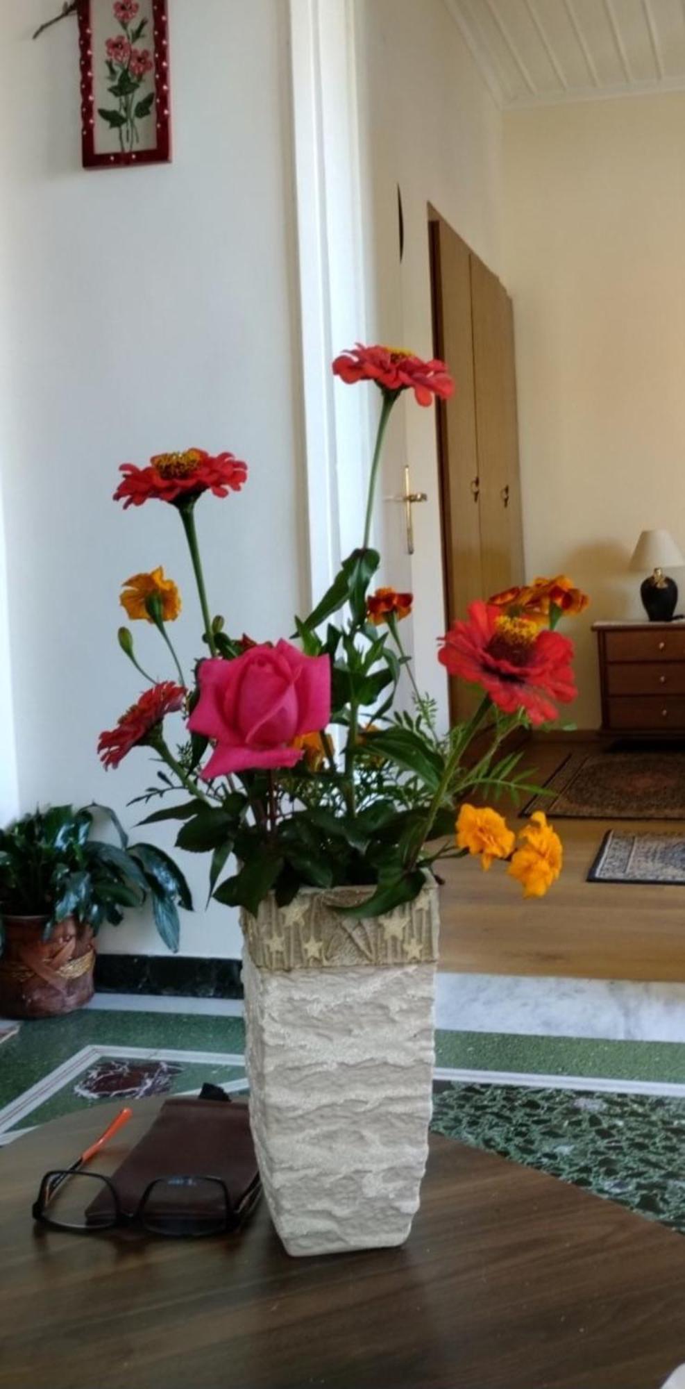 Tanias Apartment Siatista ภายนอก รูปภาพ